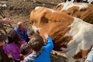 Kristiania Family Hotel